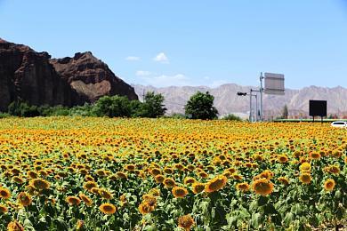 小岛秀夫想要制作电影和音乐