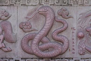 Fami通新一周销量榜 《宝可梦：朱紫》三连冠