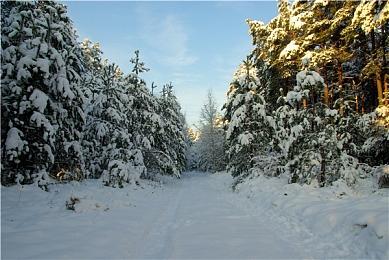 《X4：基石》资料片“王国末路”发售 6.0免费更新上线